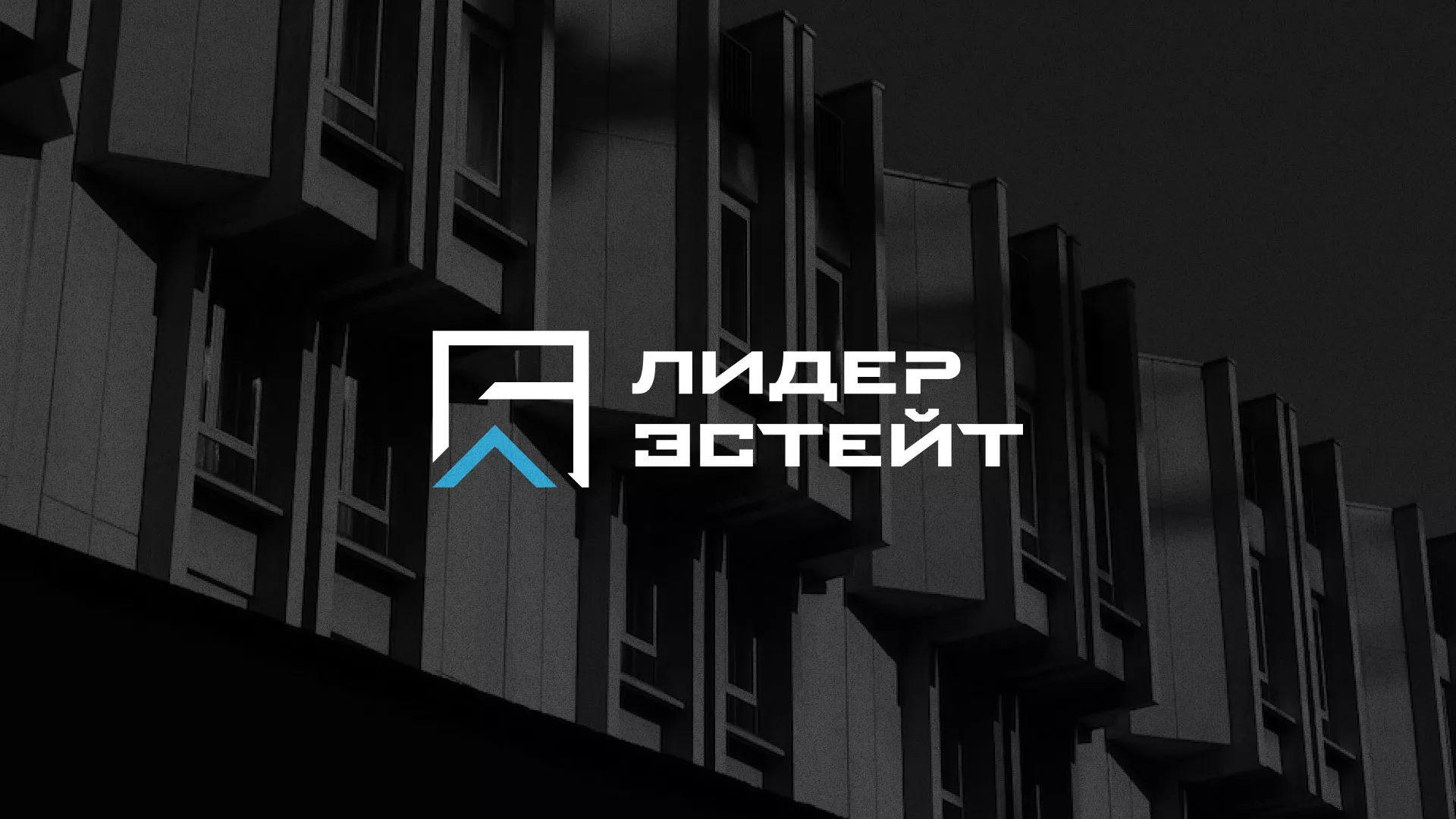 Разработка логотипа агентства недвижимости «Лидер Эстейт» в Ефремове